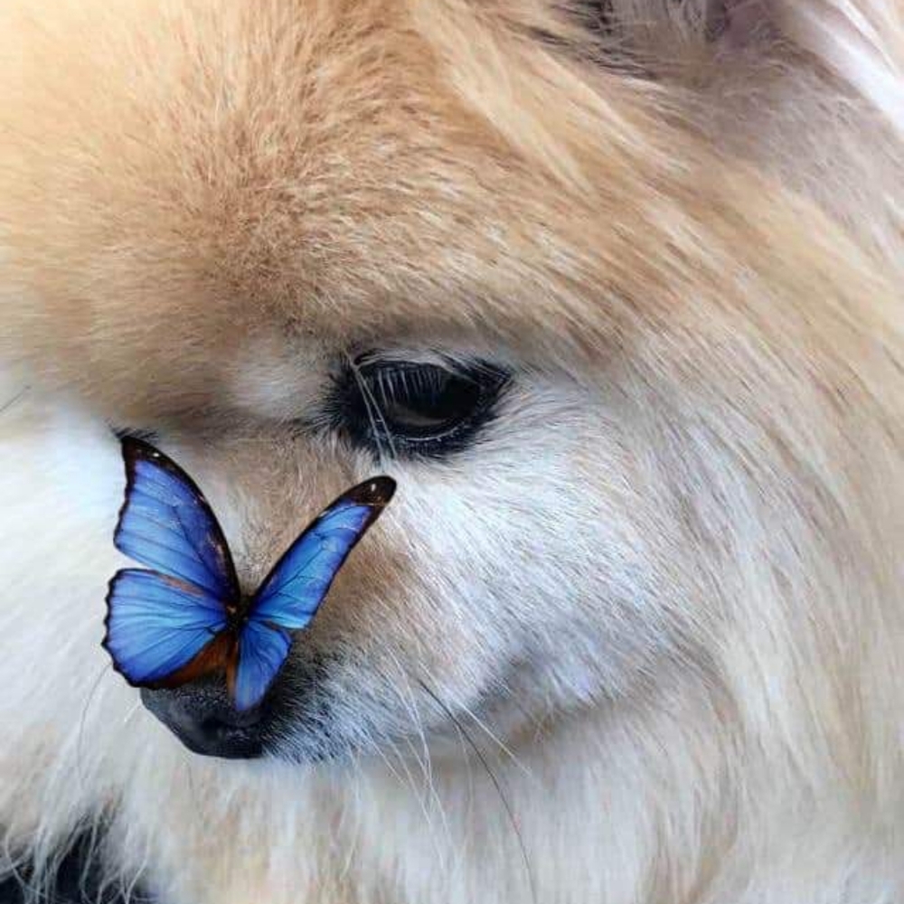 Meet your Posher, Beth